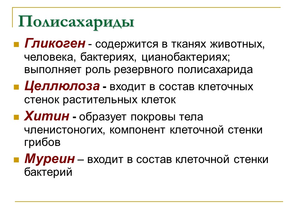 Углеводы Строение и функции